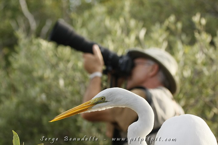2009-01-11 16-20-32__MG_2768.JPG
